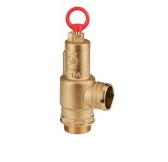 Pressure Relief Valve Brass 50mm- Stainless Steel spring- Hose